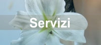 Servizi