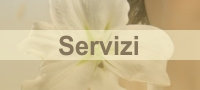 Servizi